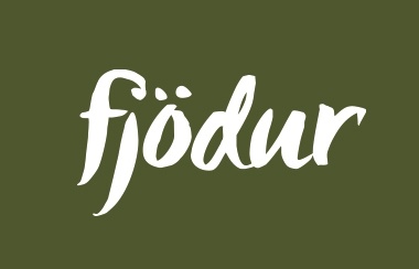 Fjödur Logo