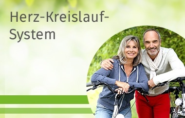 Ogima Pro für ein funktionierendes Herz-Kreislauf-System.