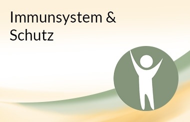 Immunsystem