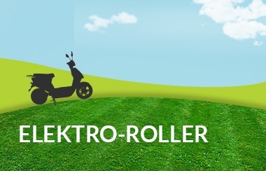 Elektro Roller