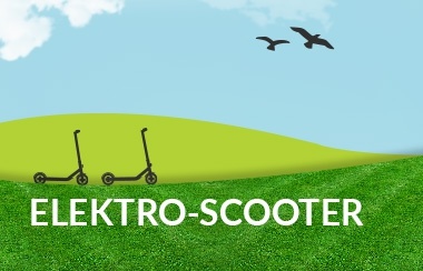 Elektro Scooter