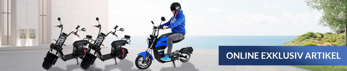 Mobilität der Zukunft Online Exklusiv Produkte