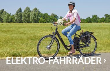 Elektro Fahrrad